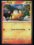 Miscellaneous Cards & Products #029/217 Tepig